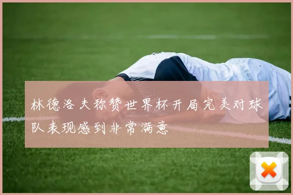 林德洛夫称赞世界杯开局完美对球队表现感到非常满意