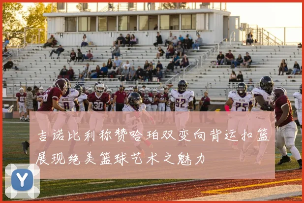 吉诺比利称赞哈珀双变向背运扣篮展现绝美篮球艺术之魅力
